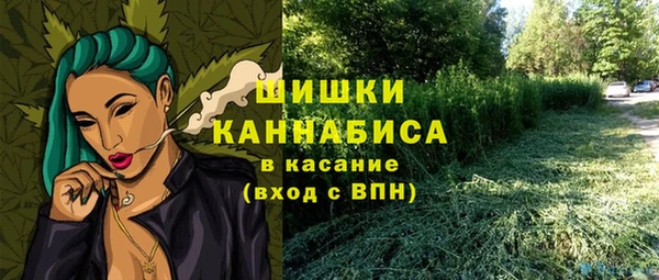 гашик Арсеньев