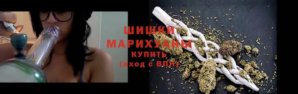 гашик Арсеньев