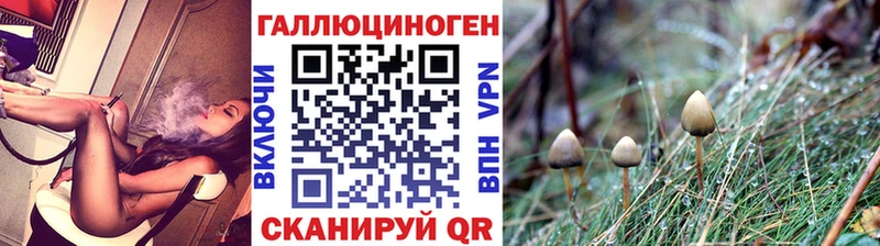 Псилоцибиновые грибы Psilocybine cubensis Вилюйск